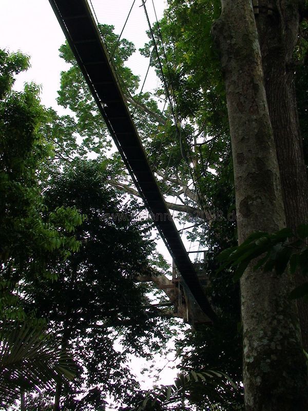 Forest Research Institute (FRIM)